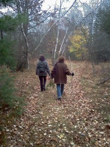 A Walk in the Woods
